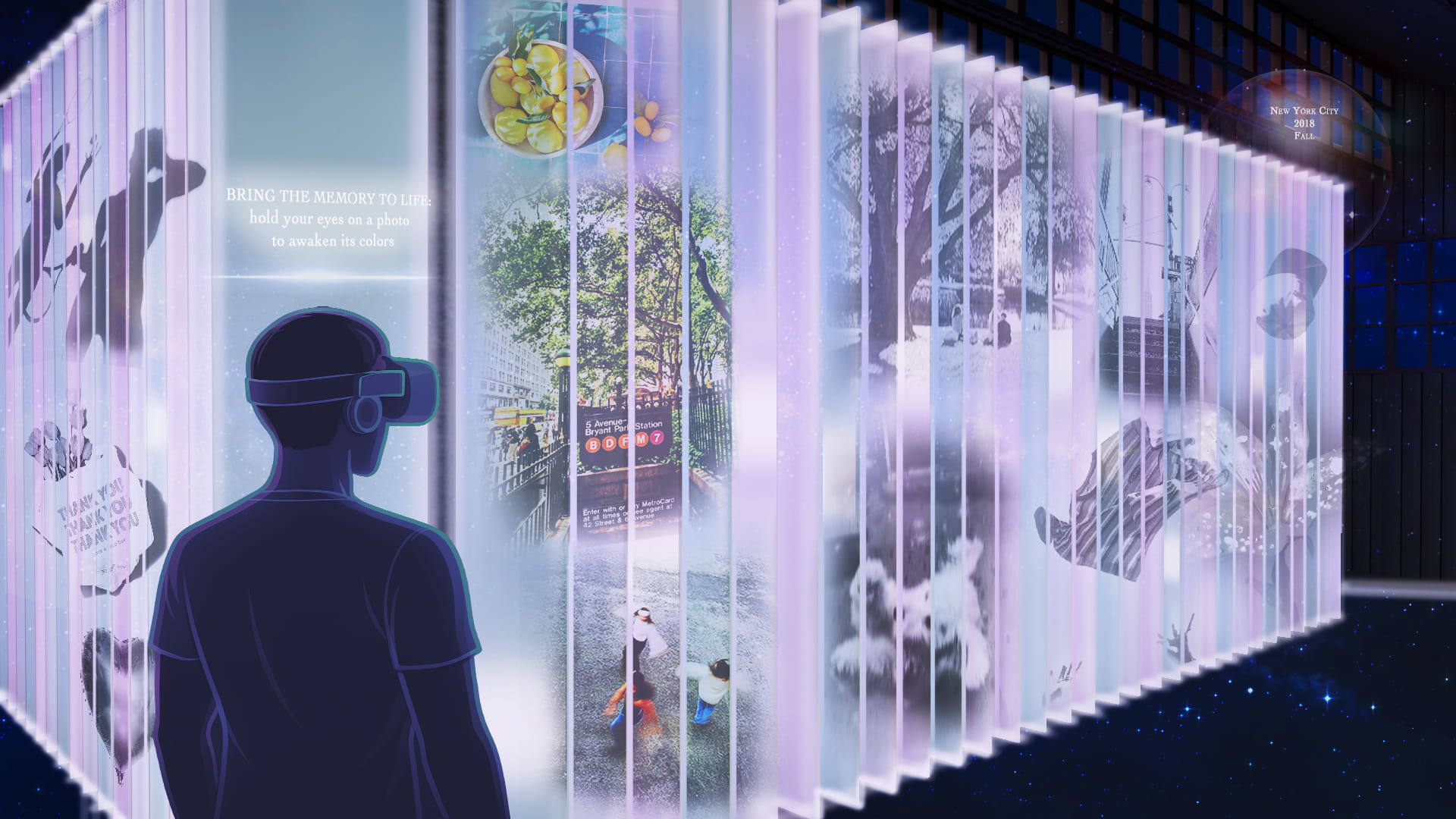 Description of image 6